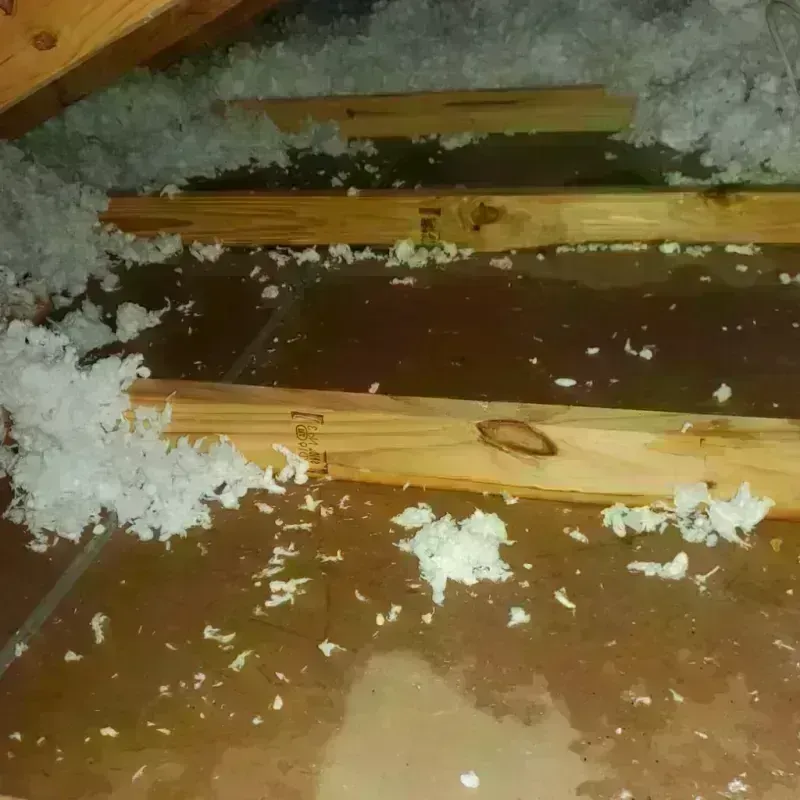 Attic Water Damage in Warwick, NY